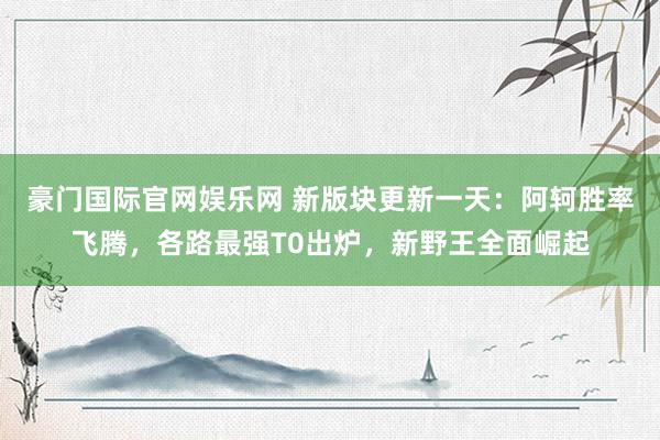 豪门国际官网娱乐网 新版块更新一天：阿轲胜率飞腾，各路最强T0出炉，新野王全面崛起