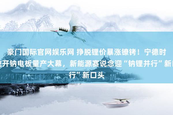 豪门国际官网娱乐网 挣脱锂价暴涨镣铐！宁德时期拉开钠电板量产大幕，新能源赛说念迎“钠锂并行”新口头