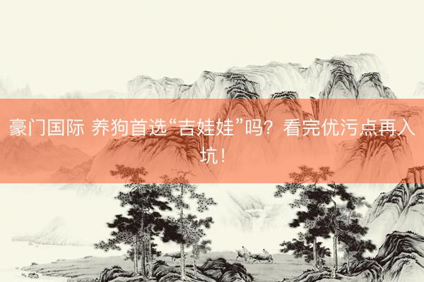 豪门国际 养狗首选“吉娃娃”吗？看完优污点再入坑！