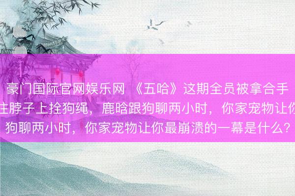 豪门国际官网娱乐网 《五哈》这期全员被拿合手: 李小冉被气哭？邓超往脖子上拴狗绳，鹿晗跟狗聊两小时，你家宠物让你最崩溃的一幕是什么？